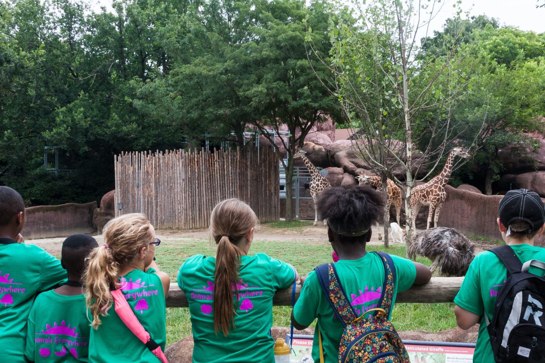 St. Louis Zoo camp
